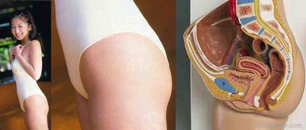 belso_noi_nemi_szervek